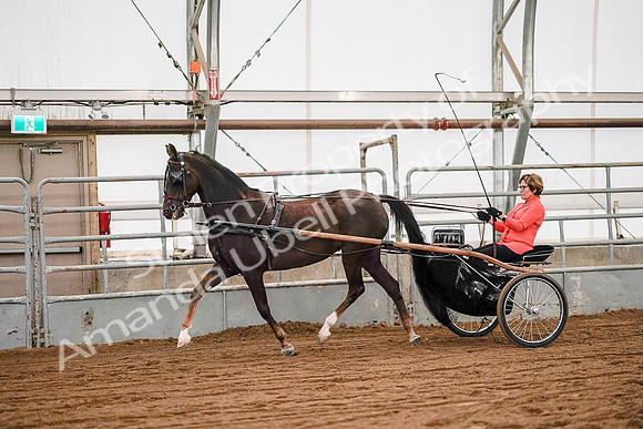 July 19, 2019 - 6974