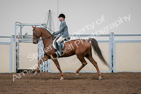 2020 - AB Morgan Horse - Sat, Sept 05 - 03046