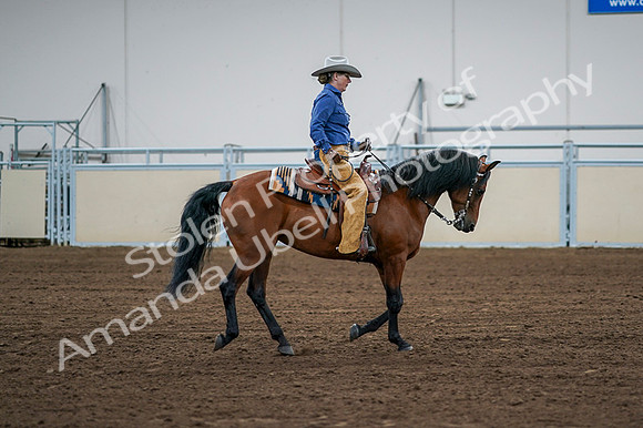 2020 - AB Morgan Horse - Fri, Sept 04 - 00114