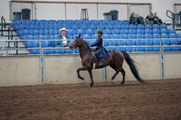 2019 Morgan Horse Show - Sept 01, 2019 - 12741