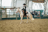 Class 100 - All Breed Western Pleasure - Stake