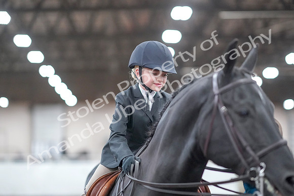 2019 Morgan Horse Show - Aug 31, 2019 - 19750
