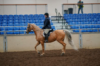 2019 Morgan Horse Show - Aug 30, 2019 - 22182