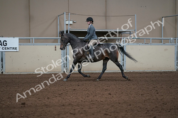 2019 Morgan Horse Show - Sept 01, 2019 - 10918_1