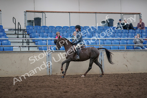 2019 Morgan Horse Show - Aug 31, 2019 - 16669