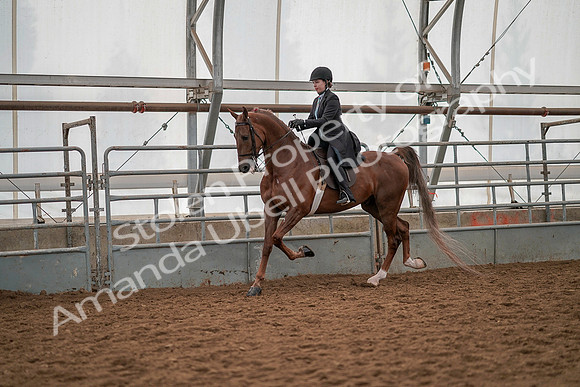 July 19, 2019 - 12929