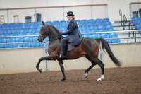 2019 Morgan Horse Show - Aug 30, 2019 - 24308