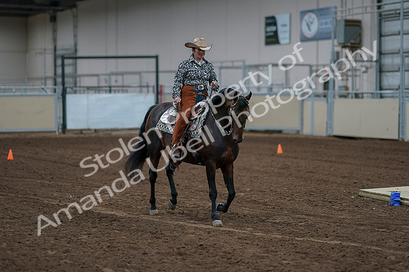 2020 - AB Morgan Horse - Fri, Sept 04 - 00043