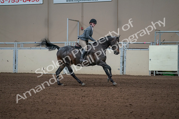 2019 Morgan Horse Show - Sept 01, 2019 - 11121