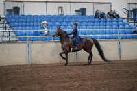 2019 Morgan Horse Show - Sept 01, 2019 - 12740