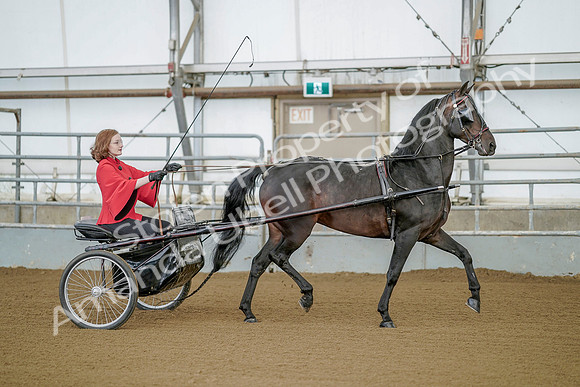 July 20, 2019 - 08767