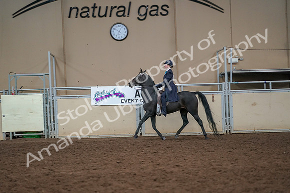 2019 Morgan Horse Show - Aug 30, 2019 - 12241