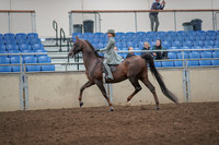 2019 Morgan Horse Show - Aug 31, 2019 - 07666