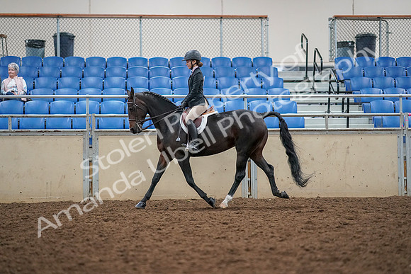 2019 Morgan Horse Show - Aug 30, 2019 - 23185