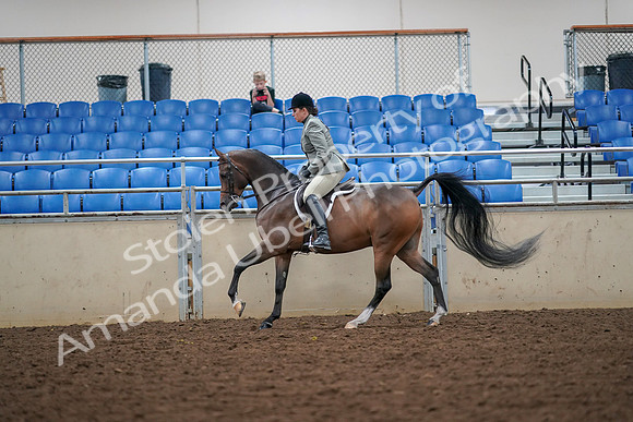 2019 Morgan Horse Show - Aug 30, 2019 - 17389