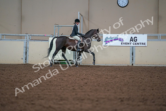 2019 Morgan Horse Show - Aug 30, 2019 - 20809