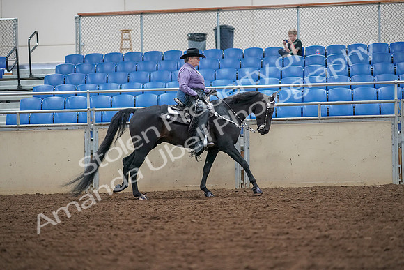 2019 Morgan Horse Show - Aug 30, 2019 - 16938
