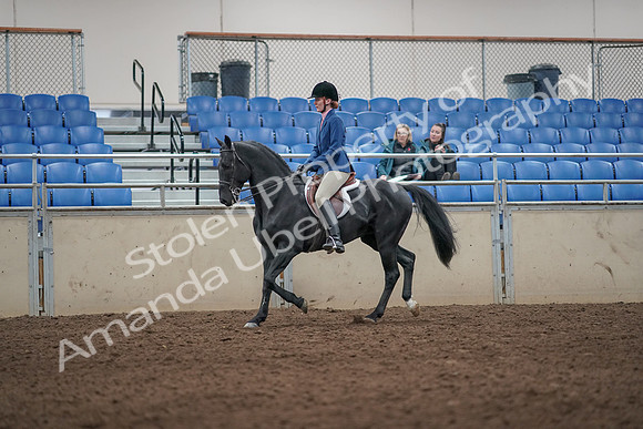 2019 Morgan Horse Show - Aug 31, 2019 - 07219