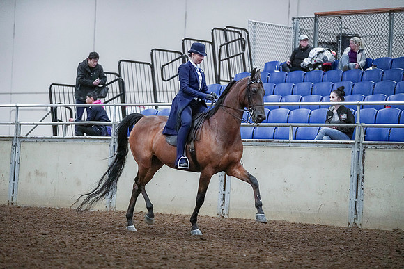 Spring Fling - Saturday - April 20, 2019  -  00745