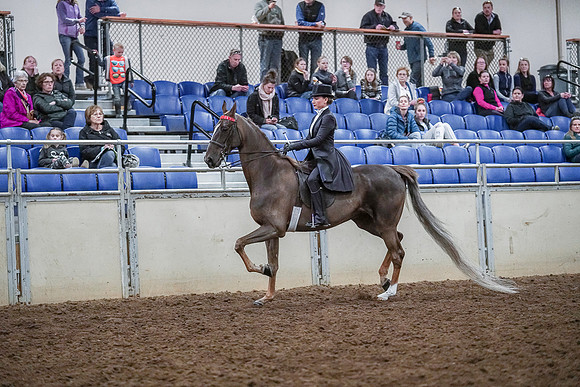 Spring Fling - Saturday - April 20, 2019  -  04093