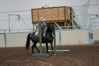 2020 - AB Morgan Horse - Fri, Sept 04 - 00046
