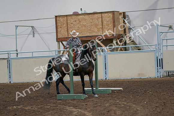2020 - AB Morgan Horse - Fri, Sept 04 - 00046