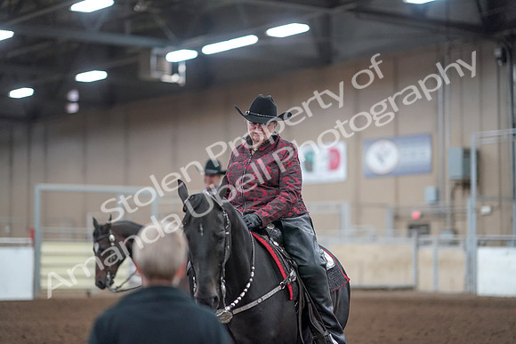 2019 Morgan Horse Show - Aug 31, 2019 - 10797