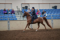 2019 Morgan Horse Show - Aug 30, 2019 - 26770