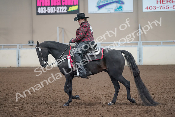 2019 Morgan Horse Show - Aug 31, 2019 - 10824