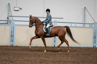 2020 - AB Morgan Horse - Sat, Sept 05 - 03040