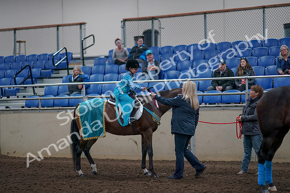 2019 Morgan Horse Show - Aug 31, 2019 - 10200