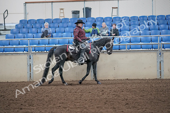2019 Morgan Horse Show - Aug 31, 2019 - 10759