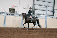 2020 - AB Morgan Horse - Fri, Sept 04 - 02001