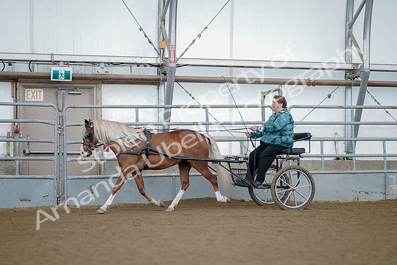 July 21, 2019 - 06713