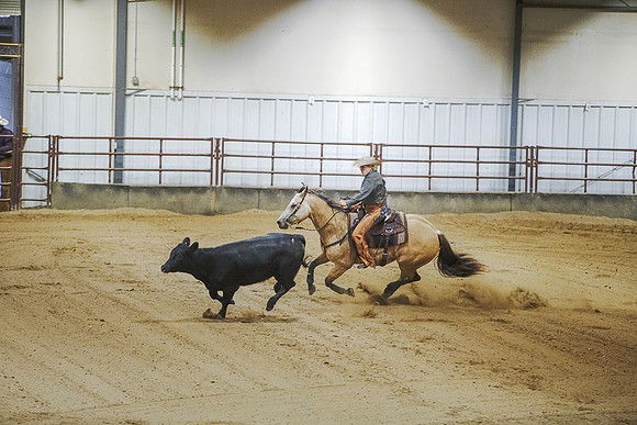 DSC00904