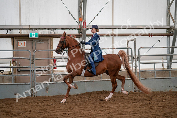 July 19, 2019 - 10376
