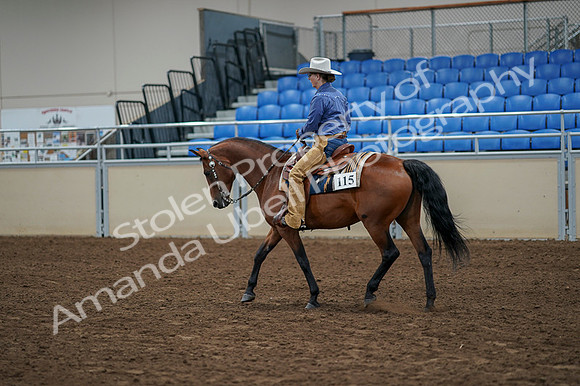 2020 - AB Morgan Horse - Fri, Sept 04 - 00180