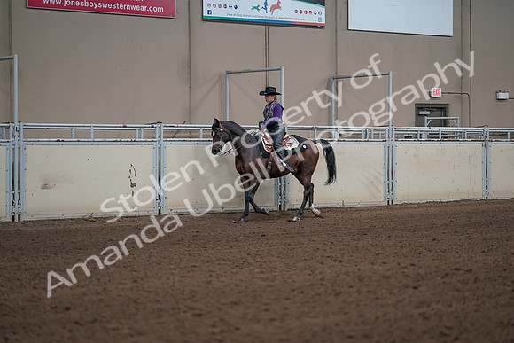 2019 Morgan Horse Show - Aug 31, 2019 - 10583