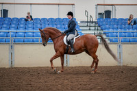 2019 Morgan Horse Show - Aug 30, 2019 - 16015