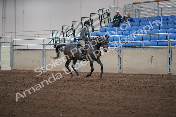 2019 Morgan Horse Show - Sept 01, 2019 - 11084