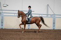2020 - AB Morgan Horse - Sat, Sept 05 - 03038