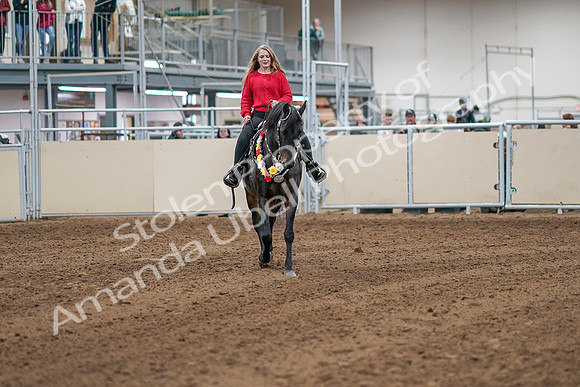2020 - AB Morgan Horse - Sat, Sept 05 - 10519