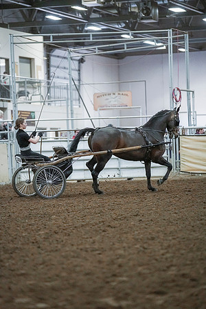 Spring Fling - Saturday - April 20, 2019  -  00267