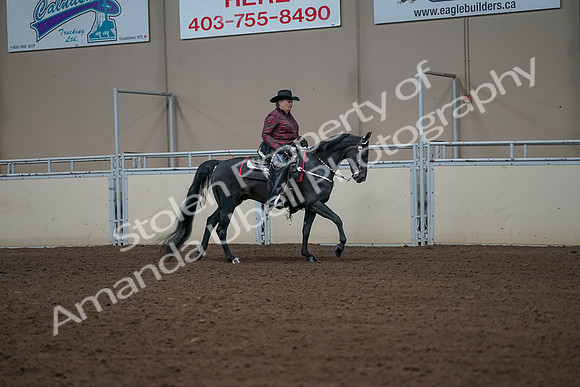 2019 Morgan Horse Show - Aug 31, 2019 - 10711