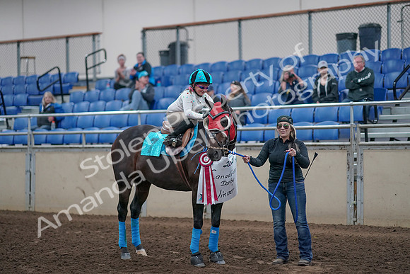 2019 Morgan Horse Show - Aug 31, 2019 - 10223