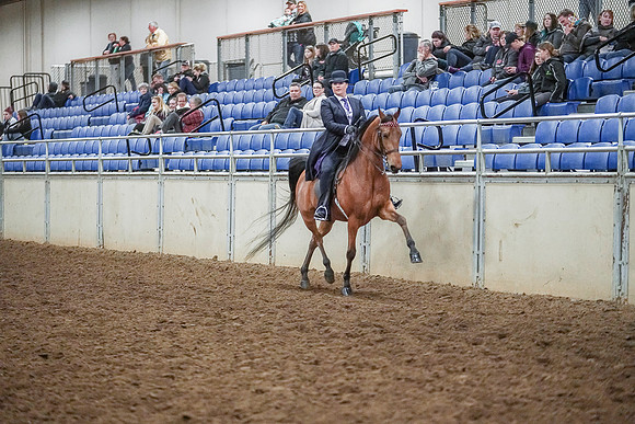 Spring Fling - Saturday - April 20, 2019  -  04474