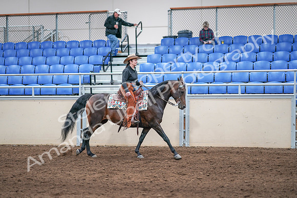 2020 - AB Morgan Horse - Sun, Sept 06 - 01649