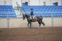 2019 Morgan Horse Show - Sept 01, 2019 - 05494