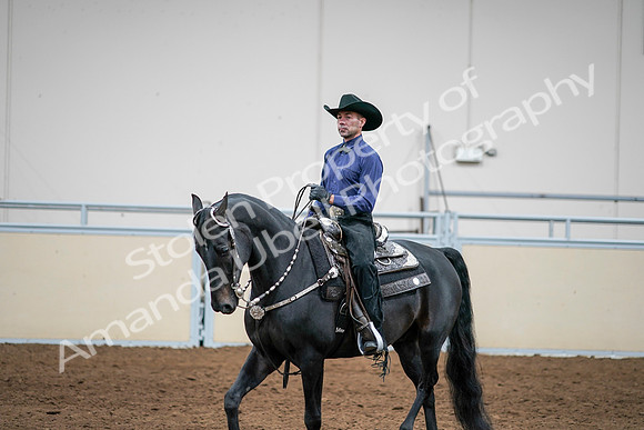 2020 - AB Morgan Horse - Sun, Sept 06 - 07603