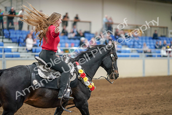 2020 - AB Morgan Horse - Sat, Sept 05 - 10576